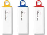 Kingston Datatraveler G4 USB Flash Drive